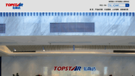 What Topstarltd.com website looked like in 2019 (5 years ago)