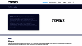 What Tepeks.com website looked like in 2019 (5 years ago)