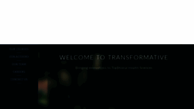 What Transformative.in website looked like in 2019 (6 years ago)
