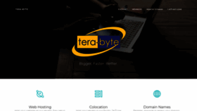 What Tera-byte.com website looked like in 2019 (5 years ago)