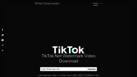 What Tiktokdownloader.com website looked like in 2019 (5 years ago)