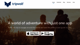 What Tripwolf.com website looked like in 2019 (5 years ago)