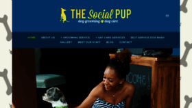 What Thesocialpup.com website looked like in 2019 (5 years ago)