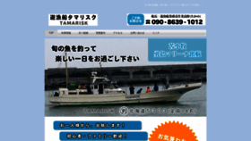 What Tamaturi.com website looked like in 2019 (5 years ago)