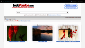 What Todofondos.com website looked like in 2019 (4 years ago)