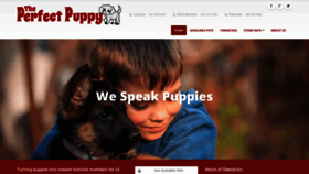 What Theperfectpuppyri.com website looked like in 2019 (4 years ago)