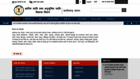 What Tribal.cg.gov.in website looked like in 2019 (4 years ago)