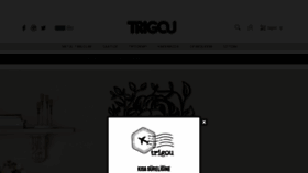 What Trigou.com website looked like in 2019 (4 years ago)