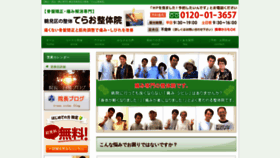 What Terao-seitai.com website looked like in 2019 (4 years ago)