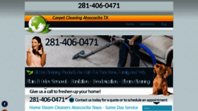 What Txatascocitacarpetcleaning.com website looked like in 2019 (4 years ago)