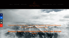 What Tenzingws.com website looked like in 2019 (4 years ago)