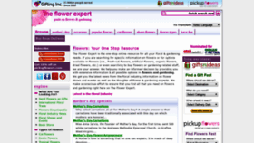 What Theflowerexpert.com website looked like in 2019 (4 years ago)