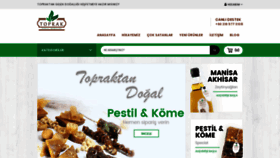 What Toprakdogal.com website looked like in 2019 (4 years ago)