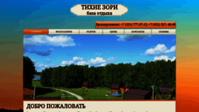 What T-zori.ru website looked like in 2019 (4 years ago)