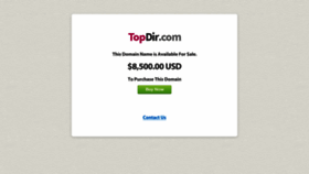 What Topdir.com website looked like in 2019 (4 years ago)