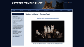 What Tempus-fugit.nl website looked like in 2019 (4 years ago)