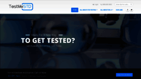 What Testmestd.com website looked like in 2019 (4 years ago)