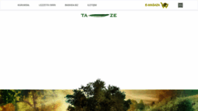 What Ta-ze.com.tr website looked like in 2019 (4 years ago)