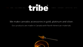 What Tribe.ca website looked like in 2019 (4 years ago)