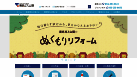 What Tgyn.co.jp website looked like in 2019 (4 years ago)