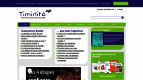 What Timidite.info website looked like in 2019 (4 years ago)
