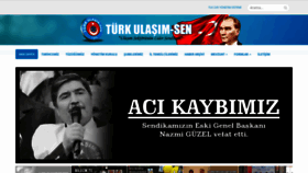 What Turkulasimsen.org website looked like in 2019 (4 years ago)