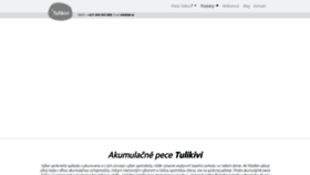 What Talc.sk website looked like in 2019 (6 years ago)