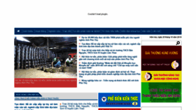 What Trithucdatto.vn website looked like in 2019 (4 years ago)