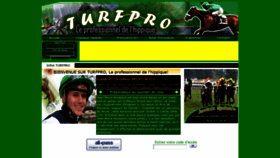 What Turfprox.com website looked like in 2019 (4 years ago)