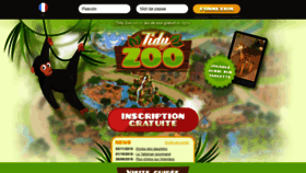 What Tidyzoo.net website looked like in 2019 (4 years ago)