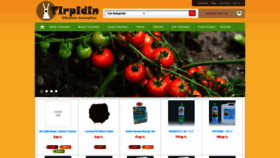 What Tirpidin.com website looked like in 2019 (4 years ago)