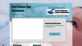 What Tatvancanhastanesi.com.tr website looked like in 2019 (4 years ago)