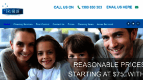What Trubluecleaning.com.au website looked like in 2019 (4 years ago)