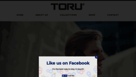 What Torucase.com website looked like in 2019 (4 years ago)