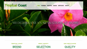 What Tropicalcoast.net website looked like in 2019 (4 years ago)