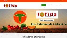 What Tofida.com website looked like in 2019 (4 years ago)