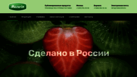 What Tdmazurin.ru website looked like in 2019 (4 years ago)