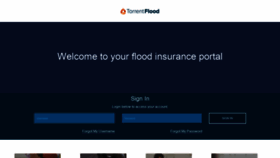 What Torrentflood.com website looked like in 2019 (4 years ago)