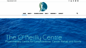What Theoreillycentre.ie website looked like in 2019 (4 years ago)