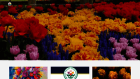 What Tulipfestival.org website looked like in 2019 (4 years ago)
