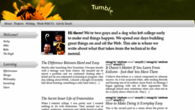 What Tumbledesign.com website looked like in 2019 (4 years ago)