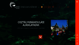 What Tiszataviokocentrum.hu website looked like in 2019 (4 years ago)