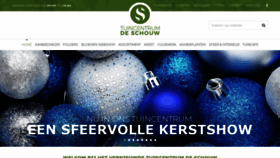 What Tcdeschouw.nl website looked like in 2019 (4 years ago)