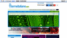 What Termeitaliane.com website looked like in 2019 (4 years ago)