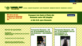 What Transportcainisipisici.ro website looked like in 2019 (4 years ago)