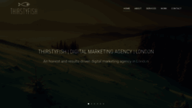 What Thirstyfish.in website looked like in 2019 (4 years ago)