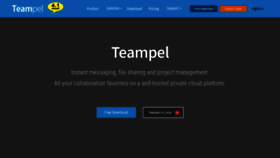 What Teampel.com website looked like in 2019 (4 years ago)