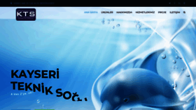 What Tekniksogutma.net website looked like in 2019 (4 years ago)