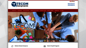 What Tecomdm.com website looked like in 2019 (4 years ago)