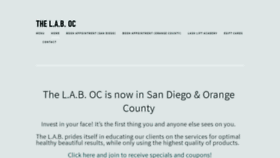 What Thelaboc.com website looked like in 2019 (4 years ago)